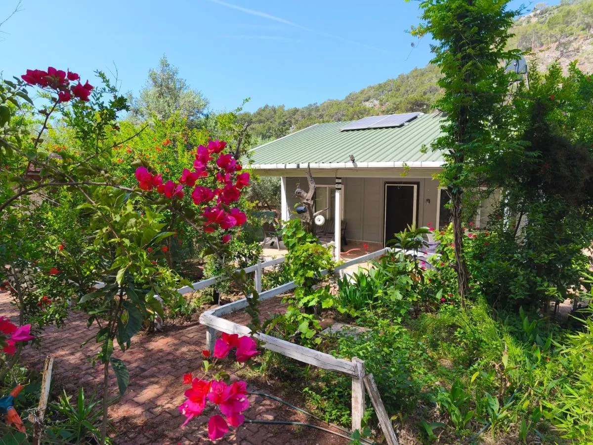 Image 5 of Gelidonia Fenerium Holiday Home