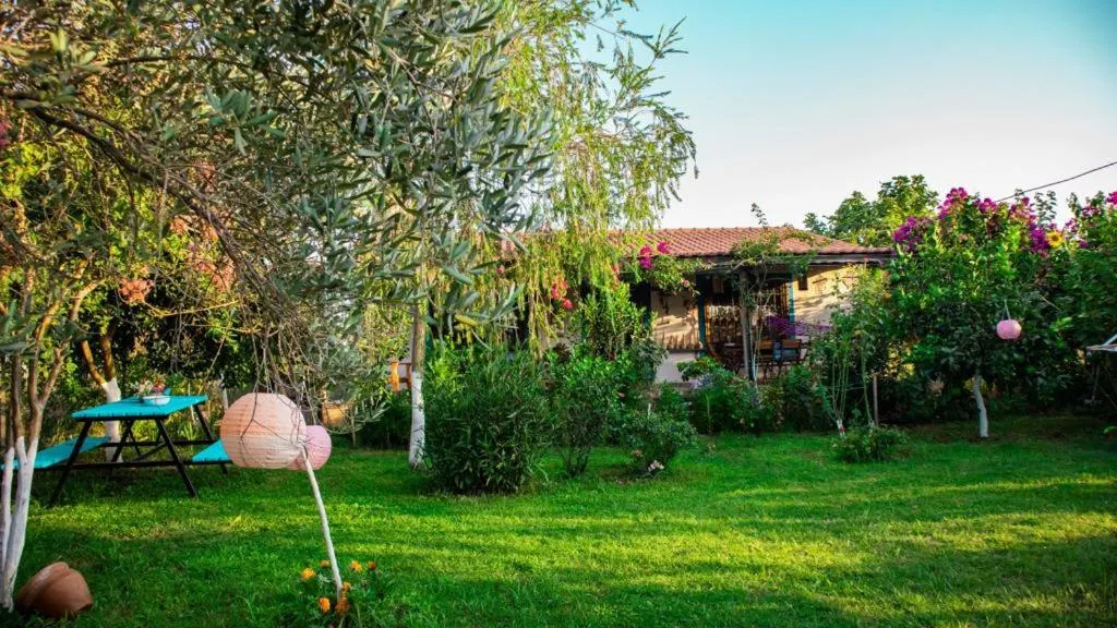 Image 5 of Masal Evimiz