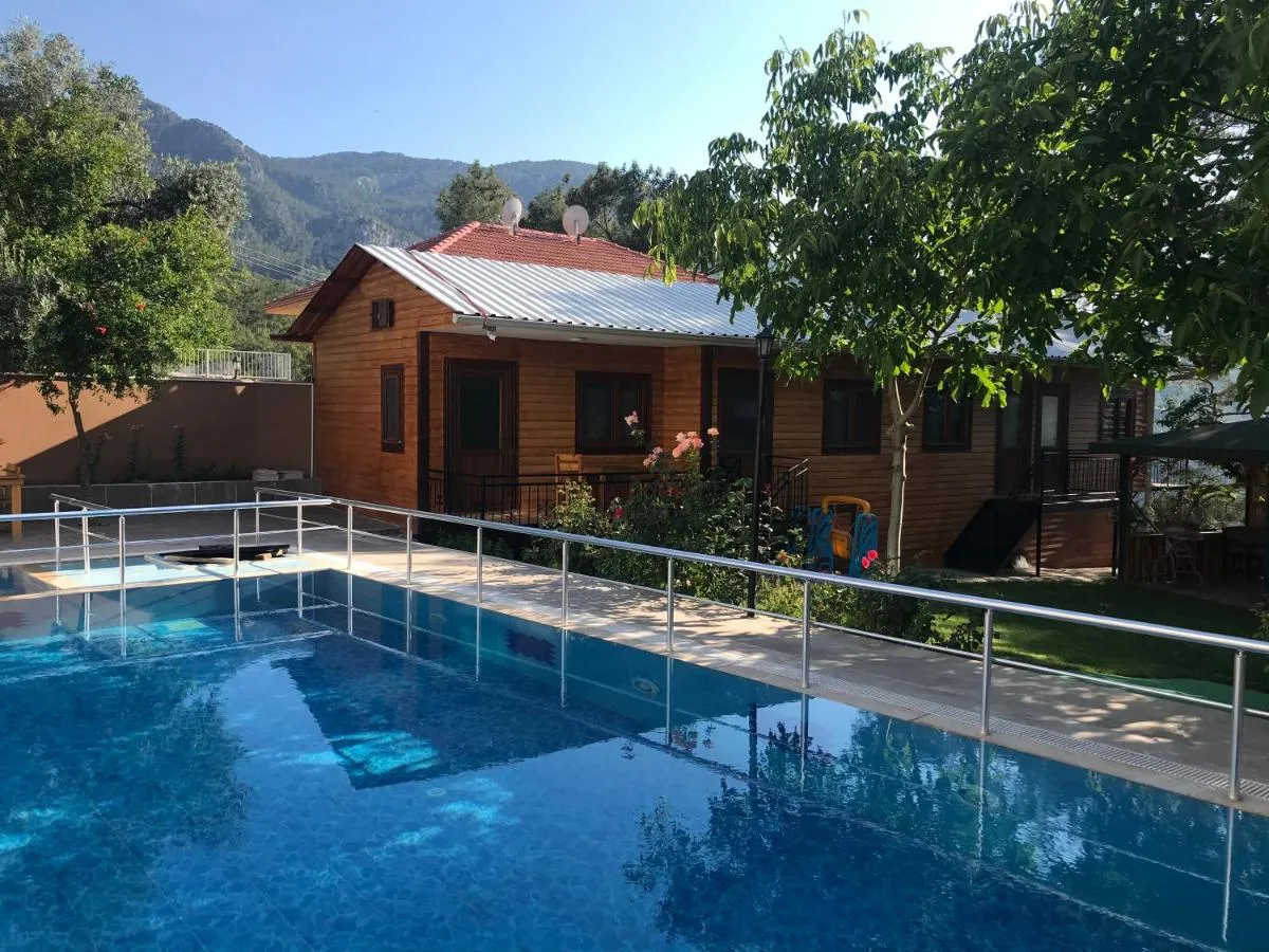 Image 3 of yenivadi