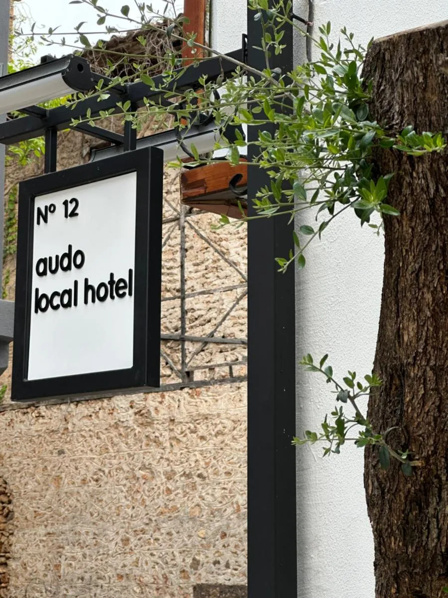 Image 4 of Audo Local
