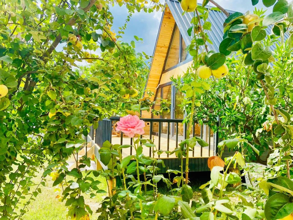Image 1 of Garden Bungalow