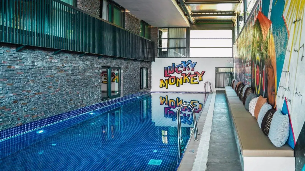 Image 3 of Lucky Monkey Hotel