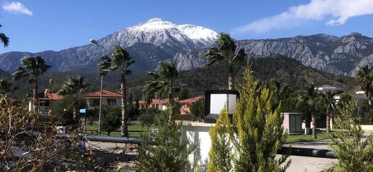 Image 6 of Villa sonne